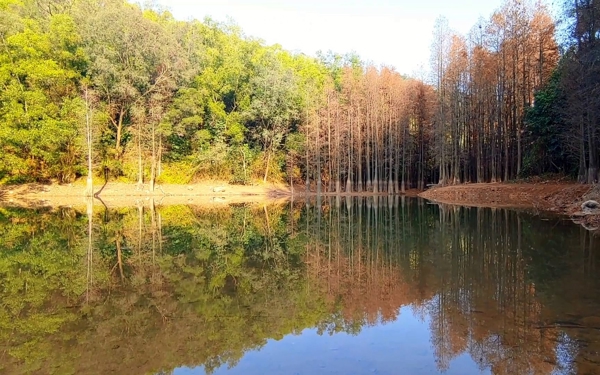 滴水岩森林公园