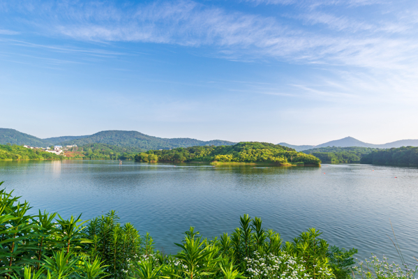 佛灵湖郊野公园