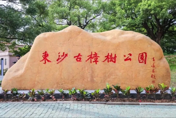 东沙古樟树公园